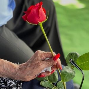 Meet your Posher, Adrian